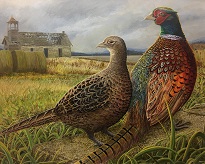 2019 pheasant stamp