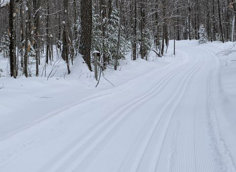 Cross-country ski trails are being groomed at northern state forests and parks. Madeline Ski Trail - Northern Highland-American Legion State Forest - Photo credit: Sara Pearson